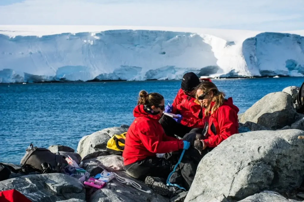 Congreso aprueba Estatuto Chileno Antártico que integra al Ministerio de Ciencia para la promoción científica en el territorio
