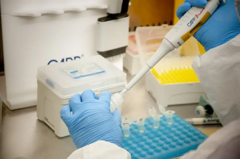 Laboratorio de Biología Molecular de la Universidad de Atacama ha analizado más 100 mil test PCR en Atacama