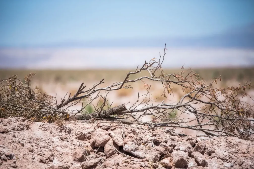 Conferencia latinoamericana promoverá el uso de evidencia científica para las decisiones climáticas