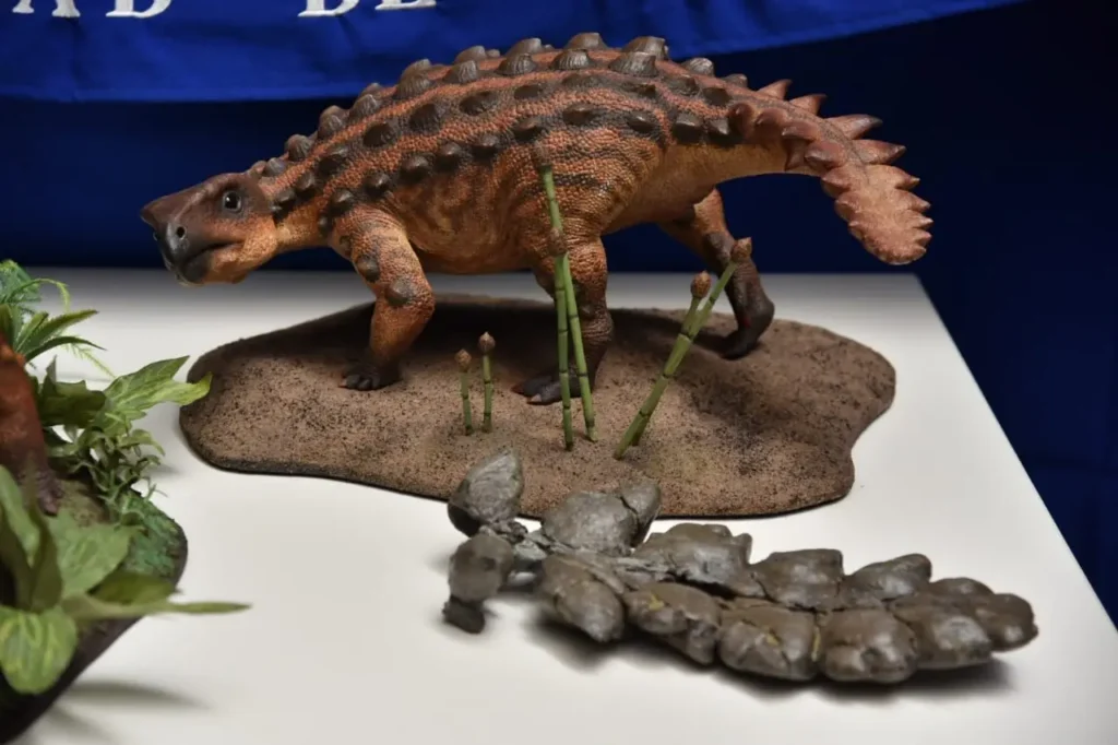 Descubren una nueva especie de dinosaurio acorazado en la Patagonia chilena con una extraña arma en su cola