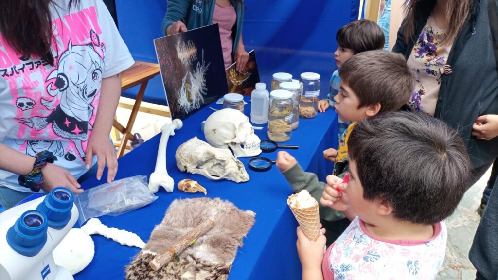 Cientos de coyhaiquinos disfrutaron de Ciencia Pública en Verano